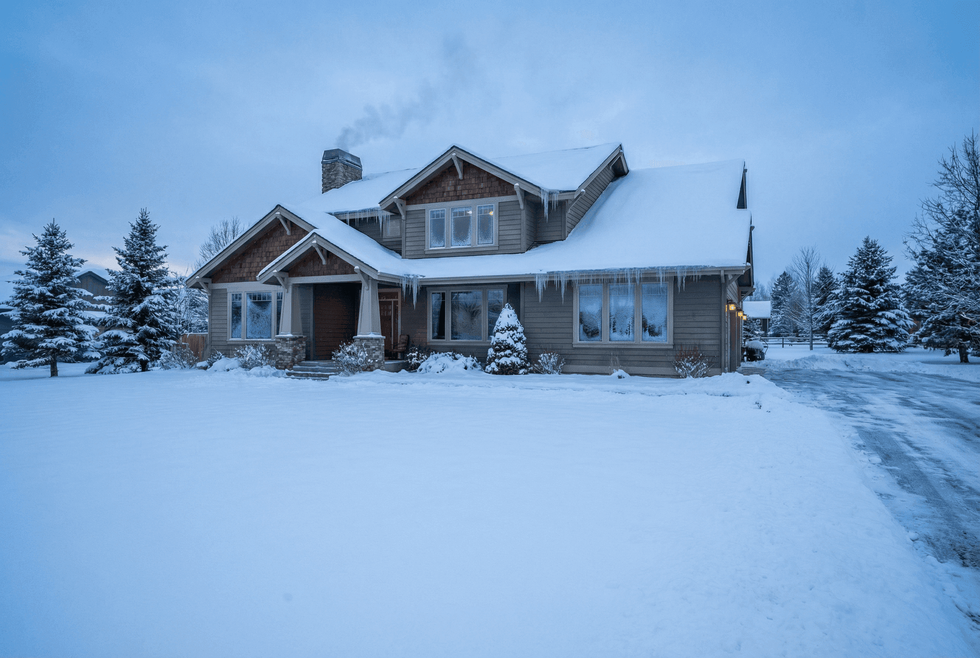 Sous la neige
